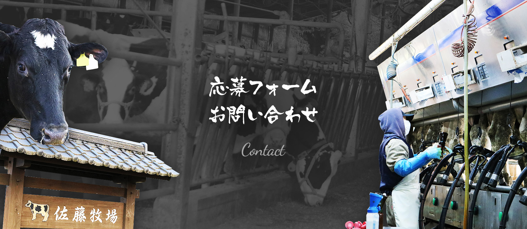 応募フォーム・お問い合わせ